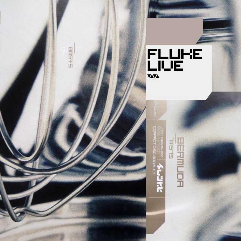 Fluke — Live @ VIVA Nite Club